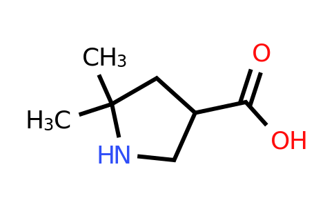 CAS 1501289-97-9 | 5,5-dimethylpyrrolidine-3-carboxylic acid