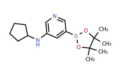 CAS 1509931-85-4 | 5-(Cyclopentylamino)pyridine-3-boronic acid pinacol ester