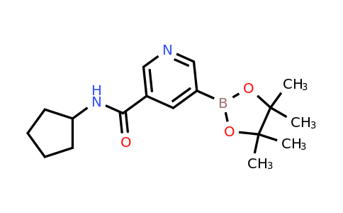CAS 1509931-88-7 | 5-(Cyclopentylcarbamoyl)pyridine-3-boronic acid pinacol ester