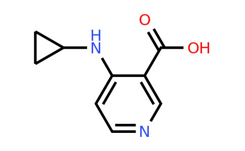 CAS 1518719-29-3 | 4-(Cyclopropylamino)nicotinic acid