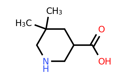 CAS 1519793-17-9 | 5,5-dimethylpiperidine-3-carboxylic acid