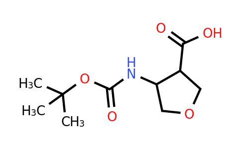 CAS 1521431-12-8 | 4-{[(tert-butoxy)carbonyl]amino}oxolane-3-carboxylic acid