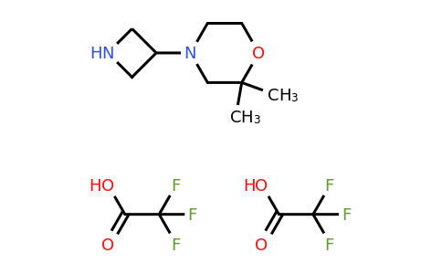 CAS 1523606-35-0 | 4-(azetidin-3-yl)-2,2-dimethylmorpholine; bis(trifluoroacetic acid)