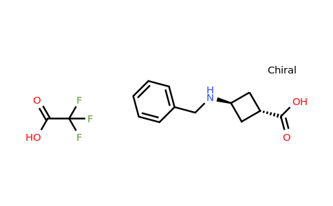 CAS 1523617-97-1 | trans-3-[(phenylmethyl)amino]cyclobutanecarboxylic acid tfa (1:1)