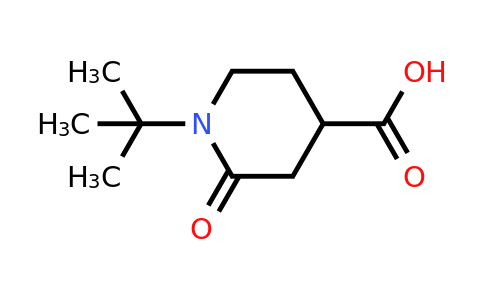 CAS 1531801-20-3 | 1-tert-butyl-2-oxopiperidine-4-carboxylic acid