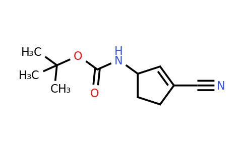 CAS 1536114-87-0 | tert-butyl N-(3-cyanocyclopent-2-en-1-yl)carbamate