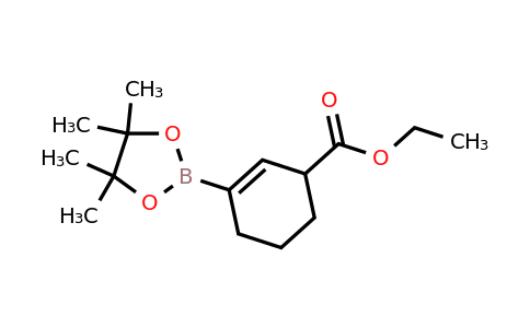 CAS 1536395-80-8 | ethyl 3-(4,4,5,5-tetramethyl-1,3,2-dioxaborolan-2-yl)cyclohex-2-ene-1-carboxylate