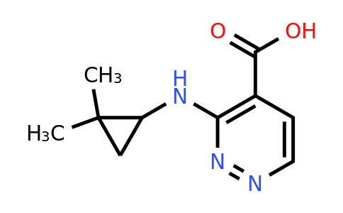 CAS 1539745-10-2 | 3-((2,2-Dimethylcyclopropyl)amino)pyridazine-4-carboxylic acid