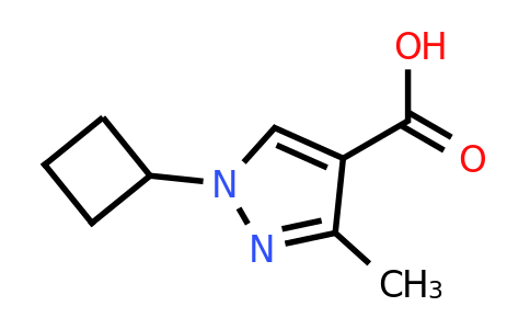 CAS 1556315-63-9 | 1-cyclobutyl-3-methyl-1H-pyrazole-4-carboxylic acid