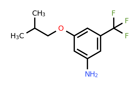 CAS 1556770-90-1 | 3-Isobutoxy-5-(trifluoromethyl)aniline