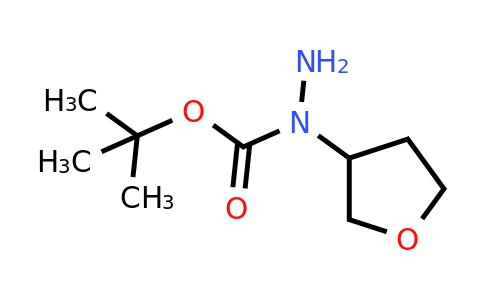 CAS 1557475-42-9 | N-(Tetrahydro-furan-3-yl)-hydrazinecarboxylic acid tert-butyl ester