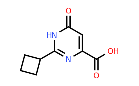CAS 1558365-63-1 | 2-Cyclobutyl-6-oxo-1,6-dihydropyrimidine-4-carboxylic acid