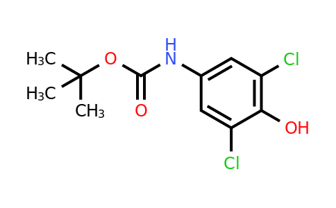 CAS 155891-93-3 | (3,5-Dichloro-4-hydroxy-phenyl)-carbamic acid tert-butyl ester