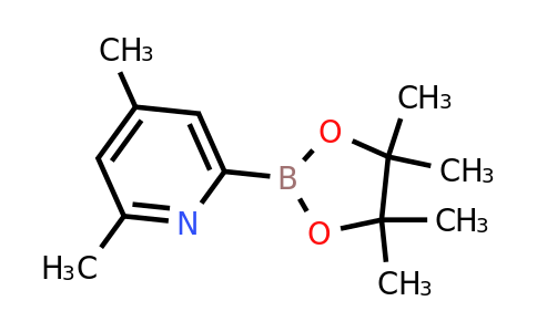 CAS 1578190-45-0 | 2,4-Dimethyl-6-(4,4,5,5-tetramethyl-1,3,2-dioxaborolan-2-YL)pyridine