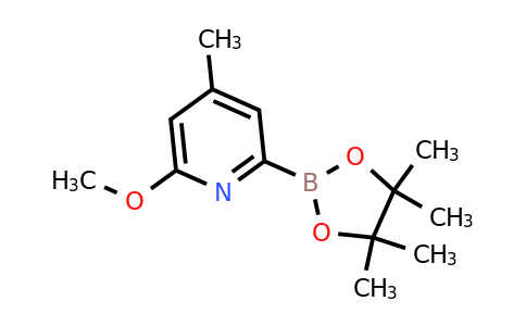 CAS 1578190-47-2 | (6-Methoxy-4-methylpyridin-2-YL)boronic acid pinacol ester