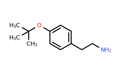 CAS 157981-64-1 | 2-[4-(tert-butoxy)phenyl]ethan-1-amine