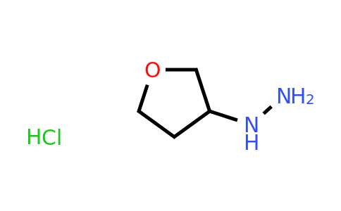 CAS 158001-24-2 | (Tetrahydro-furan-3-yl)-hydrazine hydrochloride