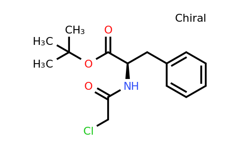 CAS 1583245-31-1 | tert-butyl (2R)-2-(2-chloroacetamido)-3-phenylpropanoate