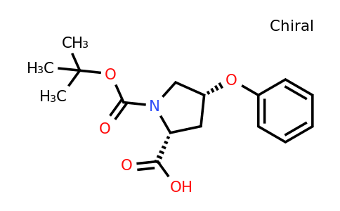 CAS 158459-12-2 | (4R)-1-Boc-4-phenoxy-D-proline