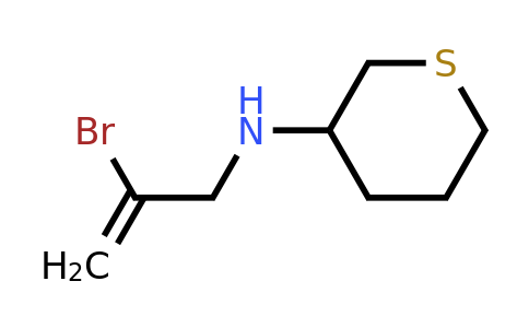 CAS 1592910-34-3 | N-(2-bromoprop-2-en-1-yl)thian-3-amine