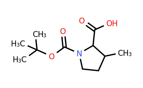CAS 1593363-79-1 | 1-[(tert-butoxy)carbonyl]-3-methylpyrrolidine-2-carboxylic acid