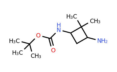 CAS 1594952-43-8 | tert-butyl N-(3-amino-2,2-dimethylcyclobutyl)carbamate
