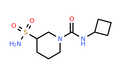 CAS 1595674-09-1 | N-Cyclobutyl-3-sulfamoylpiperidine-1-carboxamide