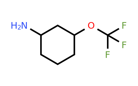 CAS 1599464-02-4 | 3-Trifluoromethoxy-cyclohexylamine