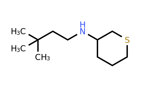 CAS 1603457-48-2 | N-(3,3-dimethylbutyl)thian-3-amine