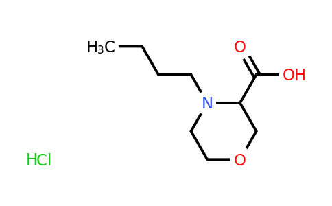 CAS 1607020-18-7 | 4-butylmorpholine-3-carboxylic acid hydrochloride