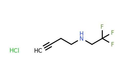 CAS 1607287-84-2 | (but-3-yn-1-yl)(2,2,2-trifluoroethyl)amine hydrochloride