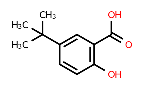 CAS 16094-31-8 | 5-Tert-butyl-2-hydroxybenzoic acid