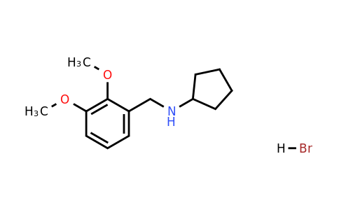 CAS 1609406-42-9 | N-(2,3-Dimethoxybenzyl)cyclopentanamine hydrobromide