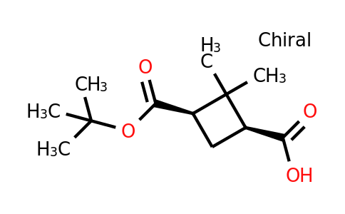 CAS 1616705-60-2 | (1S,3R)-3-[(tert-butoxy)carbonyl]-2,2-dimethylcyclobutane-1-carboxylic acid
