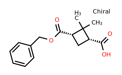 CAS 1616705-62-4 | (1R,3S)-3-[(benzyloxy)carbonyl]-2,2-dimethylcyclobutane-1-carboxylic acid