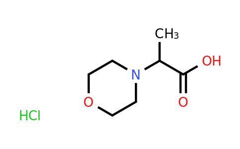 CAS 161907-45-5 | 2-Morpholin-4-yl-propionic acid hydrochloride