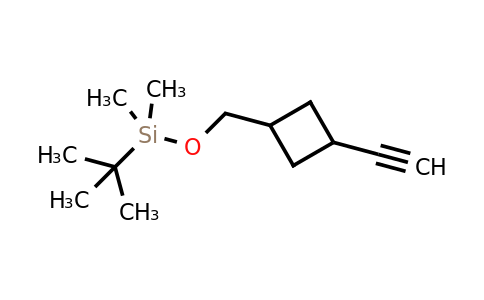 CAS 162039-21-6 | tert-butyl-[(3-ethynylcyclobutyl)methoxy]-dimethyl-silane