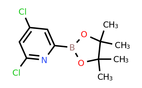 CAS 1622216-99-2 | 2,4-Dichloro-6-(4,4,5,5-tetramethyl-1,3,2-dioxaborolan-2-YL)pyridine