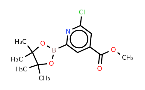 CAS 1622217-07-5 | Methyl 6-chloropyridine-2-boronic acid pinacol ester-4-carboxylate