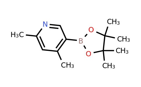 CAS 1622217-32-6 | 4,6-dimethylpyridine-3-boronic acid pinacol ester