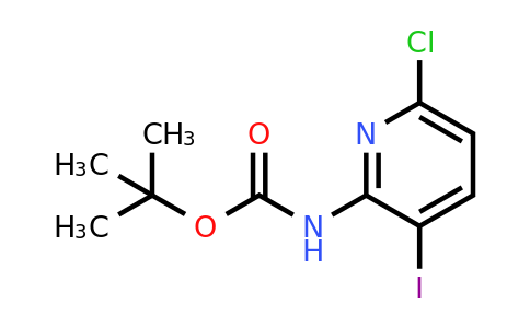CAS 1622407-12-8 | tert-Butyl (6-chloro-3-iodopyridin-2-yl)carbamate