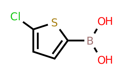 CAS 162607-18-3 | 5-Chlorothiophene-2-boronic acid