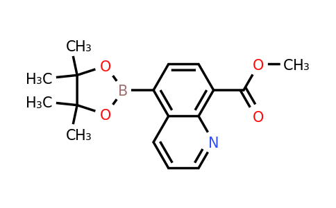 CAS 1627722-90-0 | Methyl 5-(4,4,5,5-tetramethyl-1,3,2-dioxaborolan-2-yl)quinoline-8-carboxylate