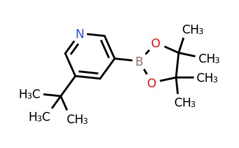 CAS 1627723-04-9 | 3-Tert-butyl-5-(4,4,5,5-tetramethyl-1,3,2-dioxaborolan-2-YL)pyridine
