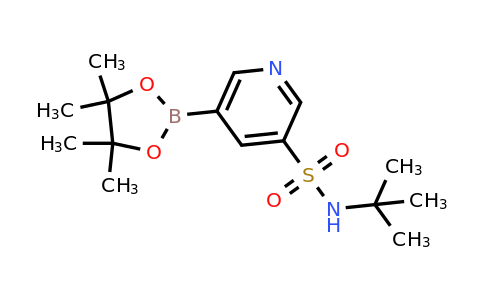 CAS 1627905-88-7 | N-(tert-Butyl)-5-(4,4,5,5-tetramethyl-1,3,2-dioxaborolan-2-yl)pyridine-3-sulfonamide