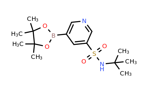 N-(tert-Butyl)-5-(4,4,5,5-tetramethyl-1,3,2-dioxaborolan-2-yl)pyridine-3-sulfonamide