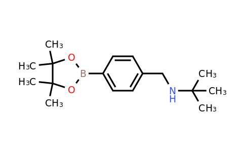 CAS 1628014-71-0 | 2-Methyl-N-(4-(4,4,5,5-tetramethyl-1,3,2-dioxaborolan-2-yl)benzyl)propan-2-amine