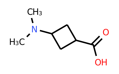 CAS 1628252-12-9 | cyclobutanecarboxylic acid, 3-(dimethylamino)-
