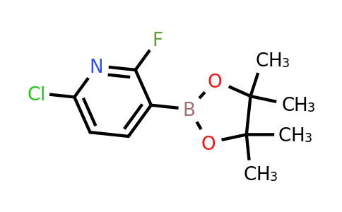 CAS 1628524-89-9 | 6-Chloro-2-fluoropyridine-3-boronic acid pinacol ester