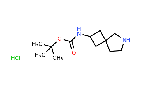 CAS 1630906-42-1 | tert-butyl N-{6-azaspiro[3.4]octan-2-yl}carbamate hydrochloride